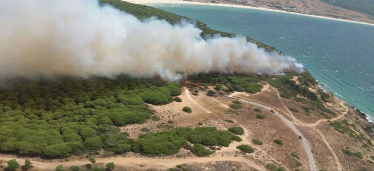Incendio en paraje Punta Caraminal de Tarifa.