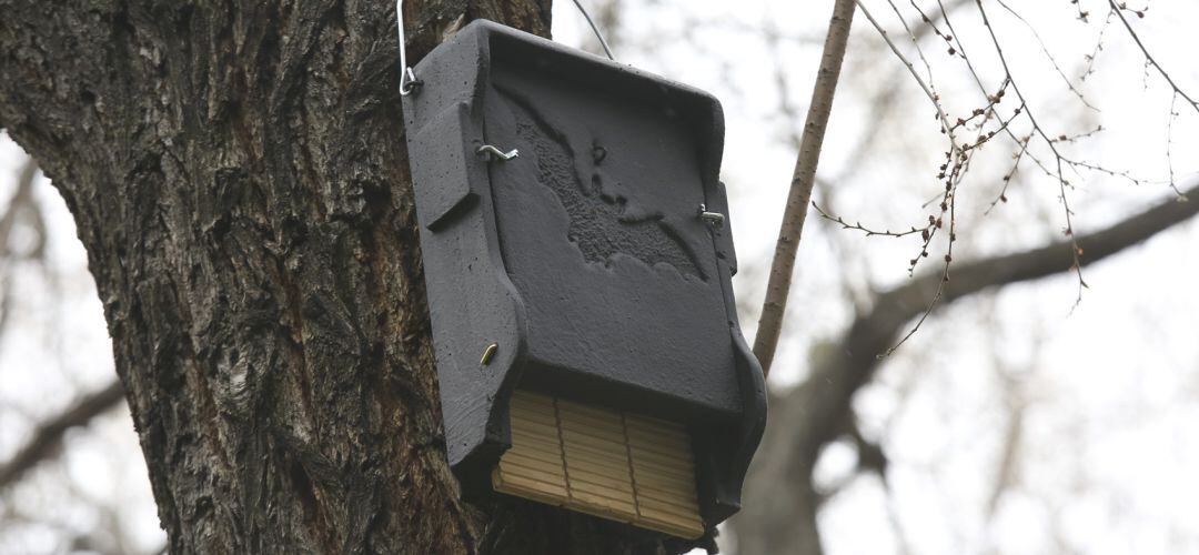 Una de las cajas refugio para murciélagos