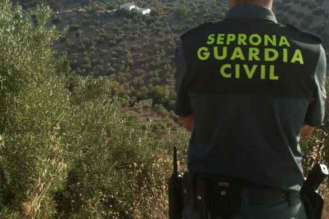 Agente del SEPRONA de la Guardia Civil.