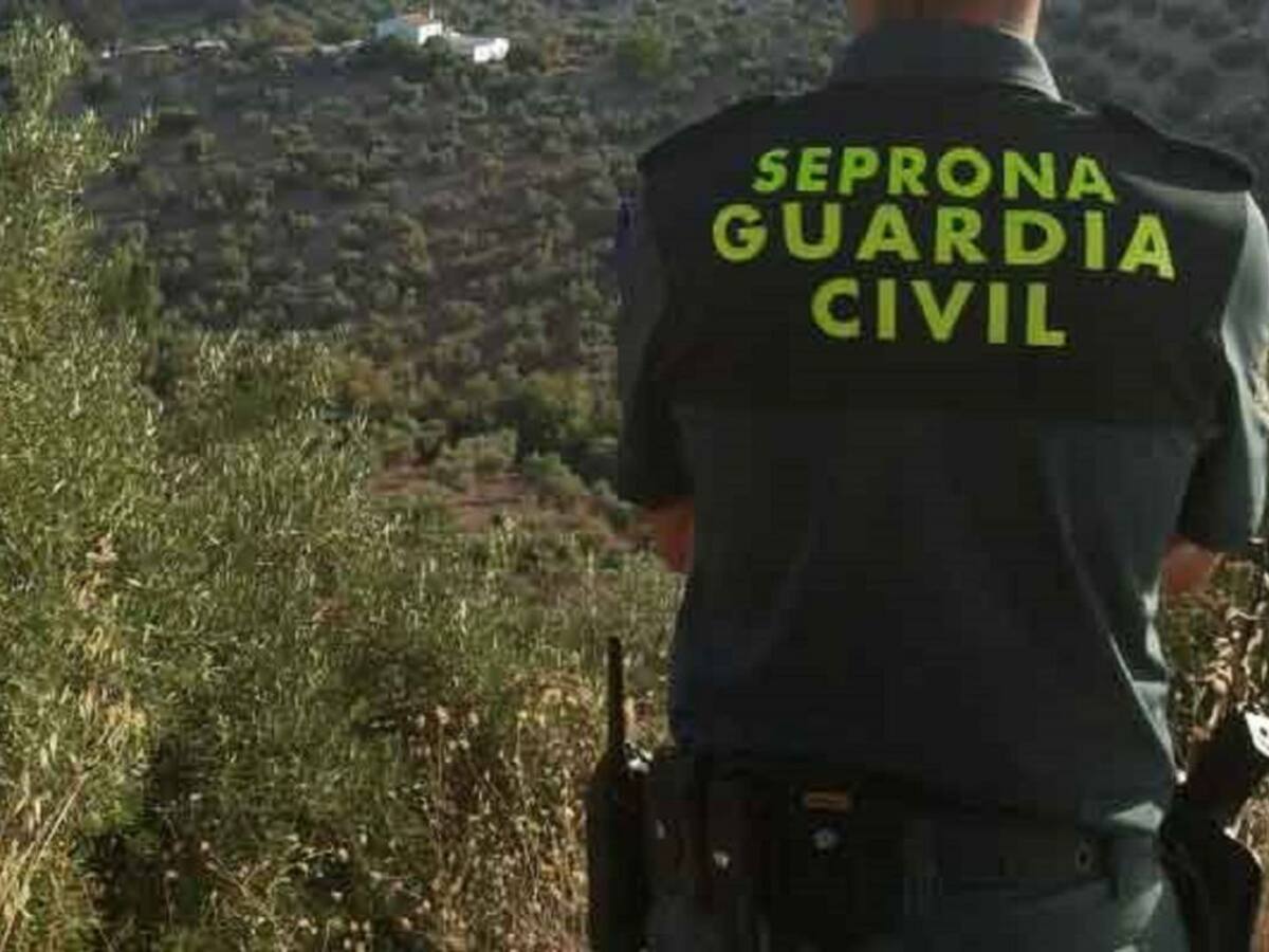 Denunciado por obras ilegales en el municipio de Haría