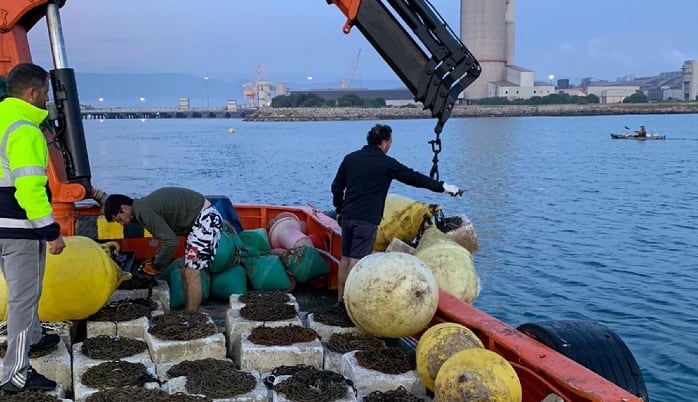 Trabajos en las playas