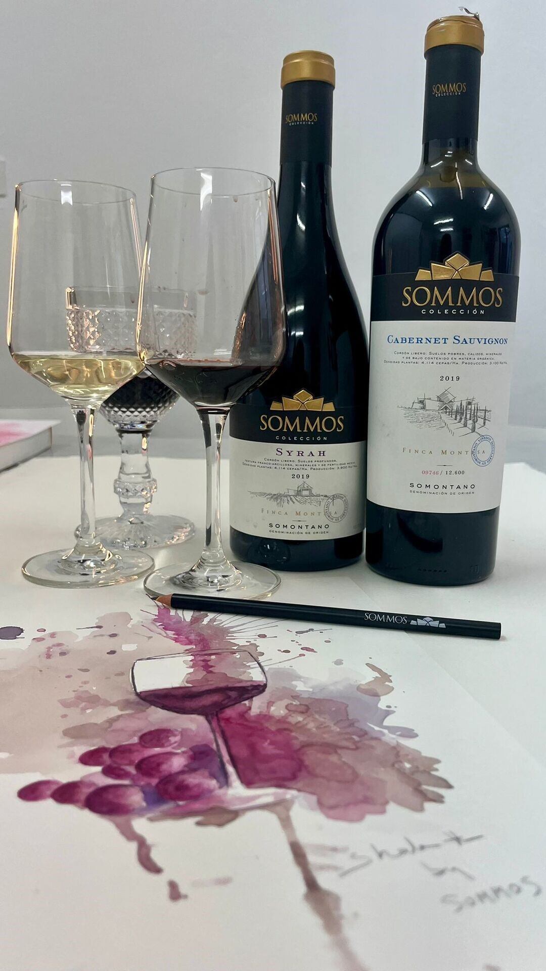 Vino y Pincel en Bodega Sommos