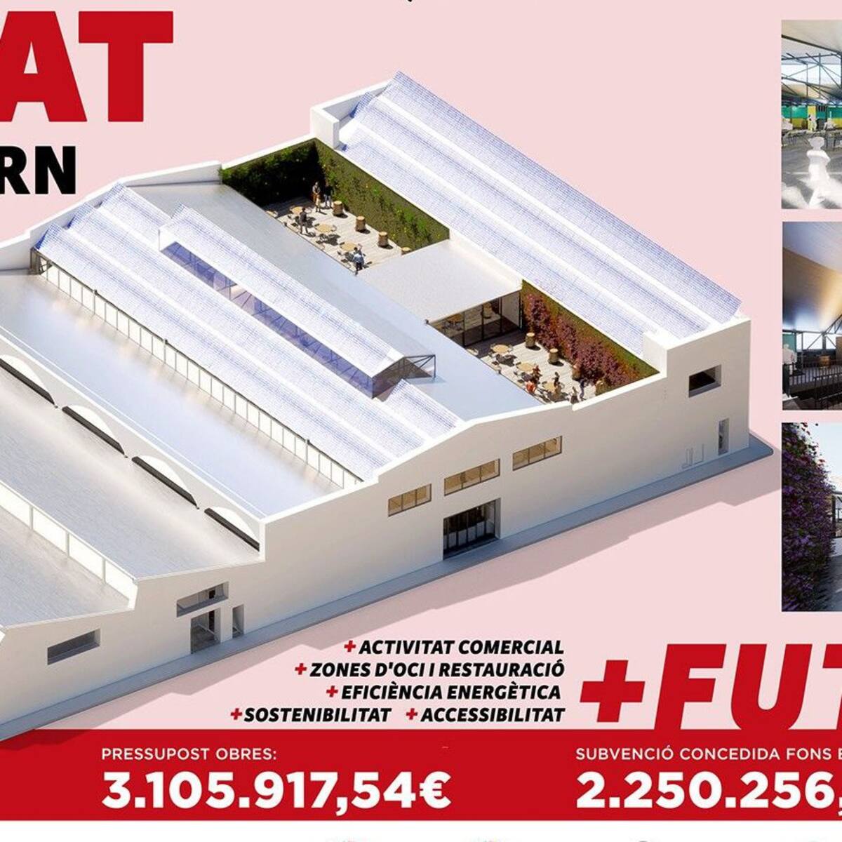 Novelda adjudica la redacción del proyecto de reforma integral del mercado