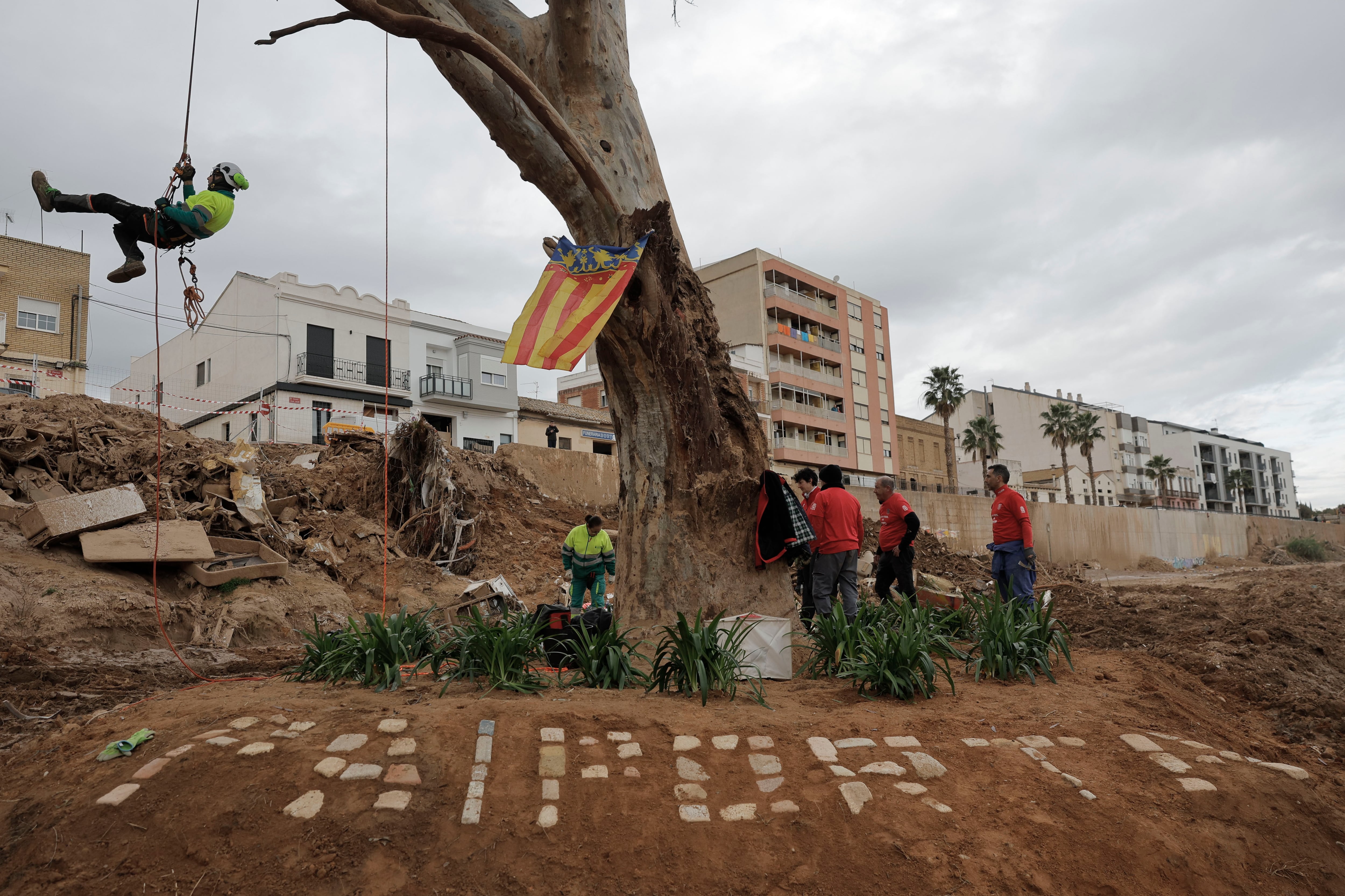 -FOTODELDIA- PAIPORTA (VALENCIA), 11/12/2024.- El árbol que sobrevivió en el barranco del Poyo se ha convertido en monumento de homenaje a los afectados por la DANA, este miércoles en la localidad valenciana de Paiporta. EFE/Kai Försterling
