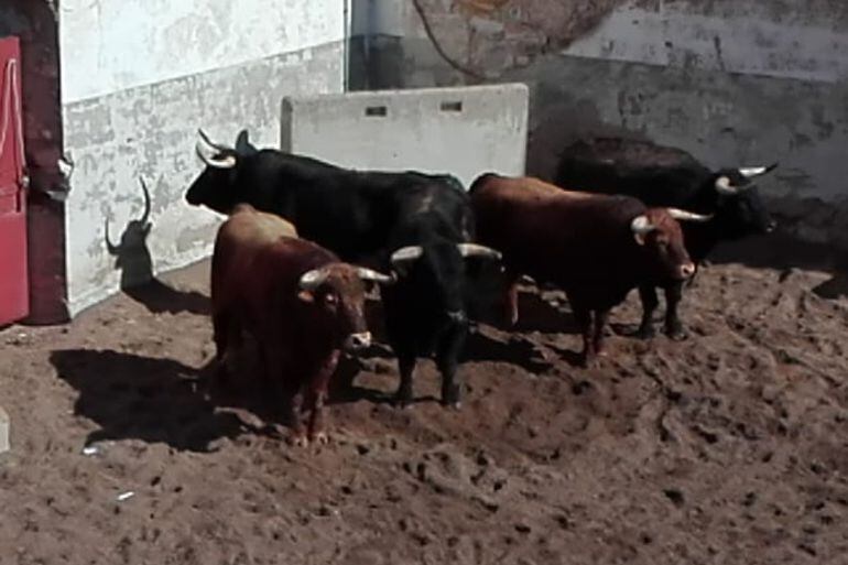 Los seis toros del Pilar de la primera de feria