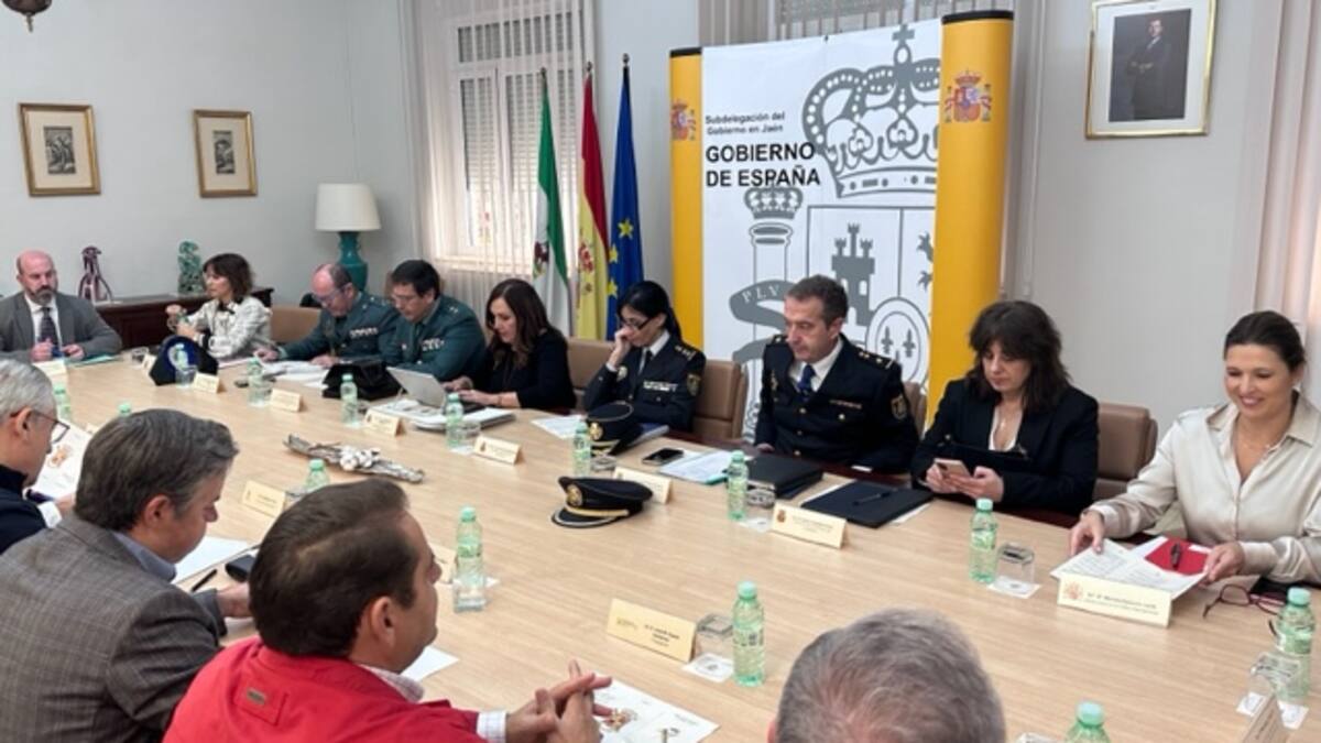 Comienza la campaña de vigilancia para la campaña de recolección de la aceituna