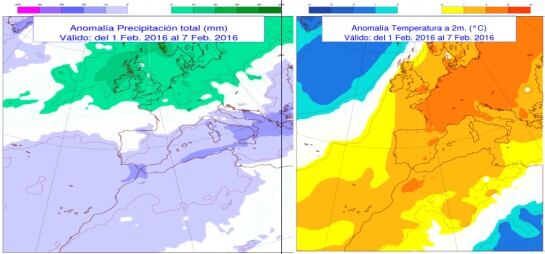 Anomalías de precipitación y temperatura previstas entre el 1 y el 7 de febrero.