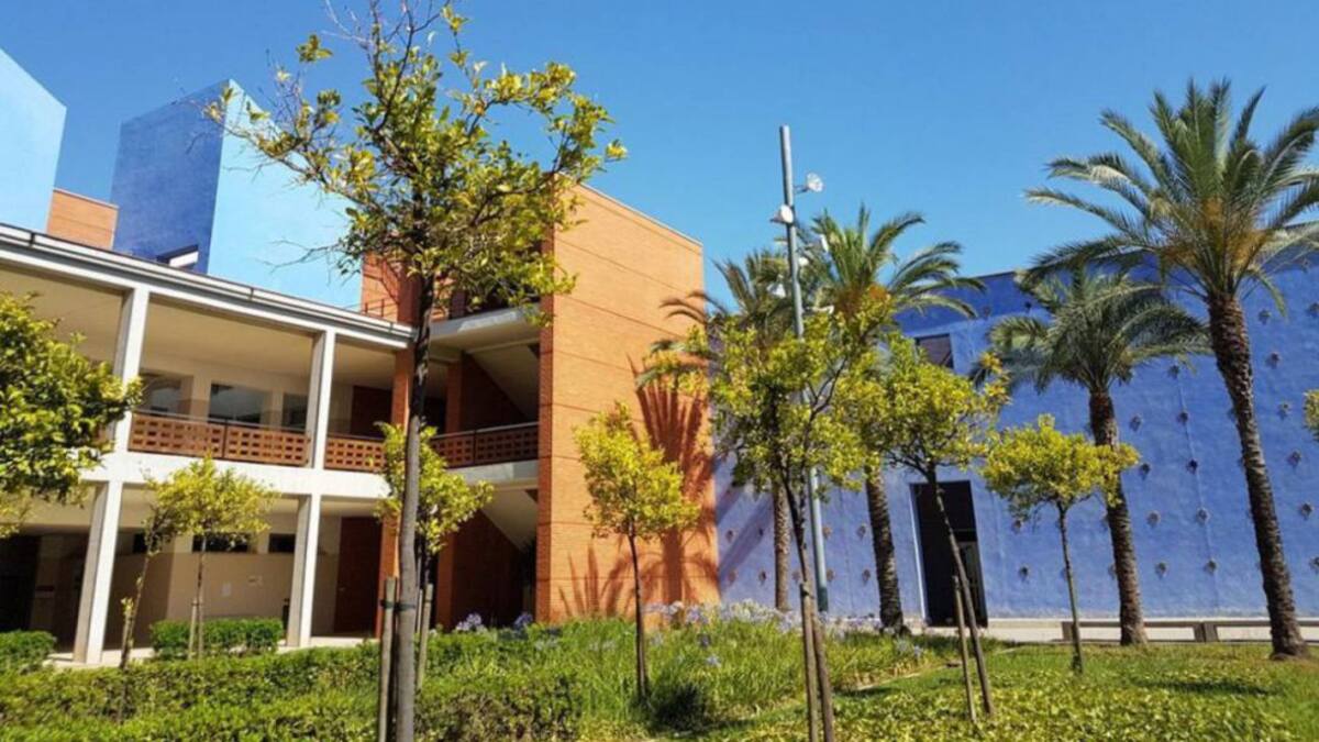 609 estudiantes en lista de espera para entrar en el Campus de Gandia