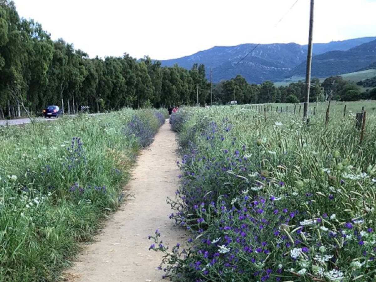 Este martes arranca el desbroce del sendero desde Puente Grande a Botafuegos