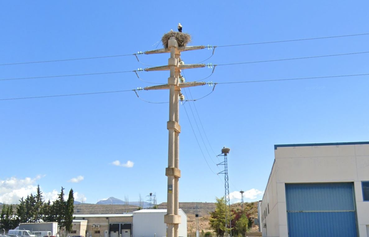 Cigüeñas en postes de la luz del Polígono Sepes de Huesca