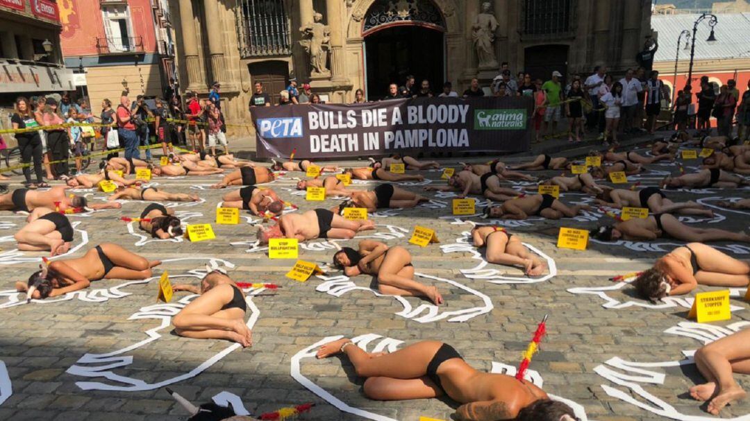 Antitaurinos en Pamplona