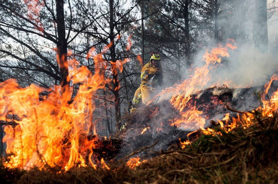 Agentes de montes de Cantabria apagan un incendio forestal.