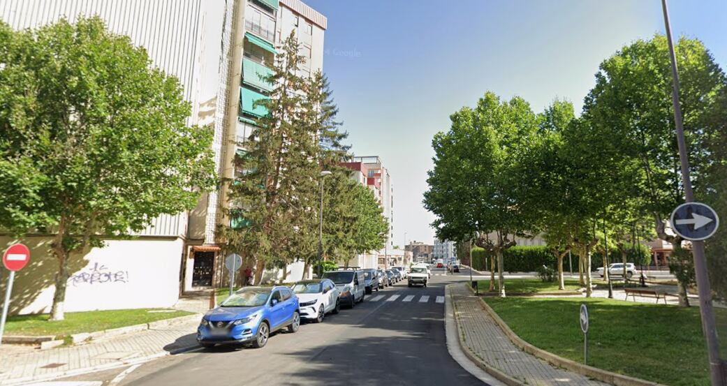 Árboles de la Plaza Mediterráneo