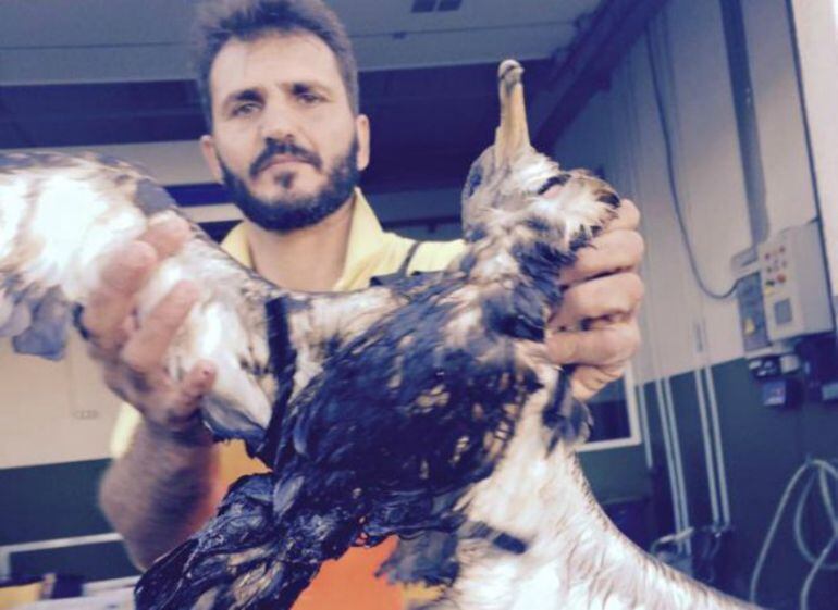 Foto cedida por la Cofradía de Pescadores de Arguineguín