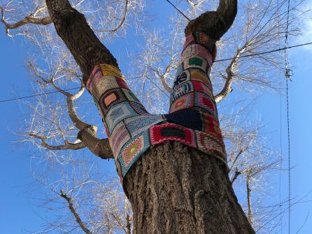 Uno de los primeros proyectos de "Tejiendo Petrer" fue decorar el patrimonio natural del municipio