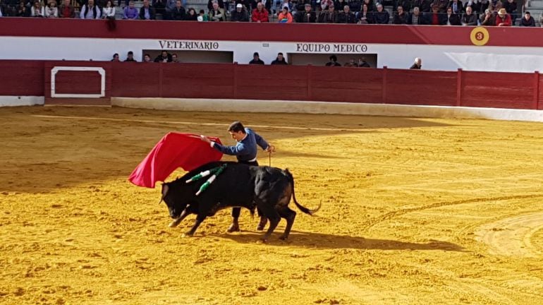 Momento de una de las faenas en el último festejo celebrado en la Plaza de Toros de Jódar