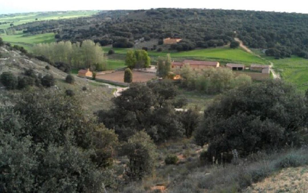 Monte El Viejo de Palencia