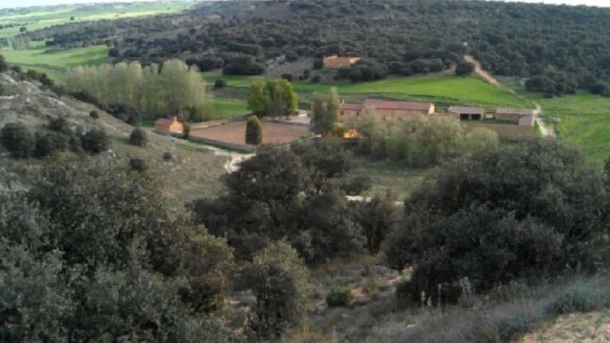 Rubio Mielgo defiende las podas en el Monte el Viejo como fundamentales para su mantenimiento