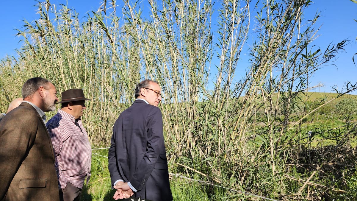 La Junta de Extremadura invertirá en la Ribera del Marco de Cáceres para prevenir inundaciones y recuperar su valor ambiental