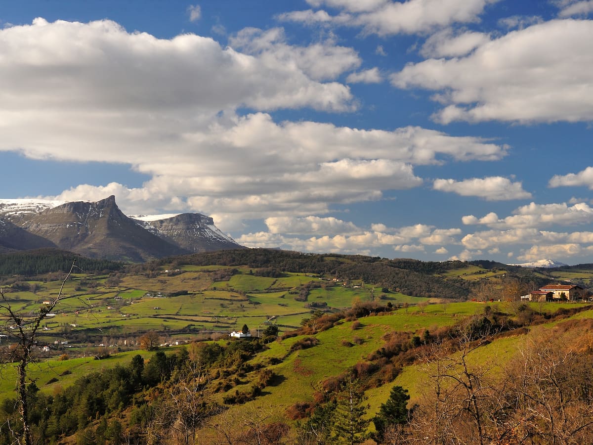 Bizkaia fija como objetivo aumentar hasta un 25% el monte público