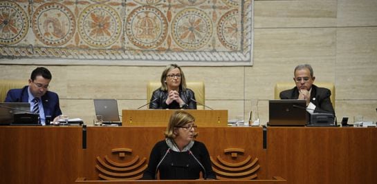 Victoria Domínguez, en la tribuna de la Asamblea