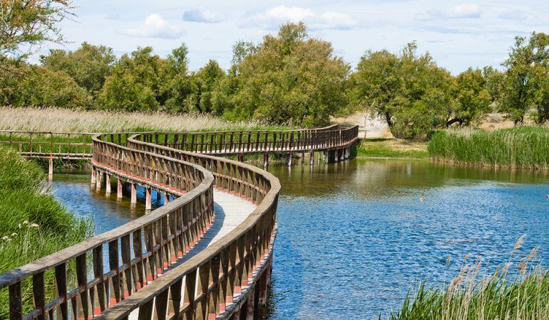 Parque Nacional de Las Tablas de Daimiel.