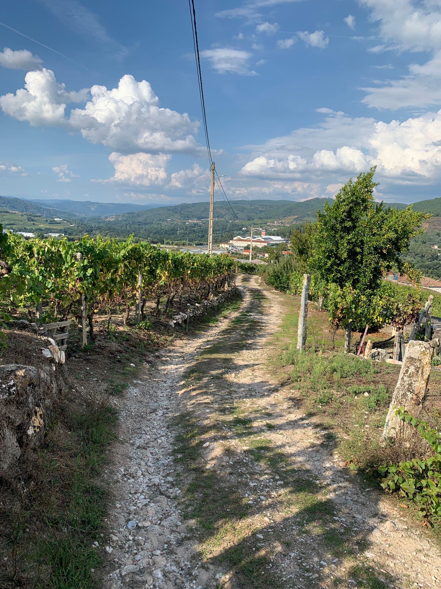 Camiño de San Paio