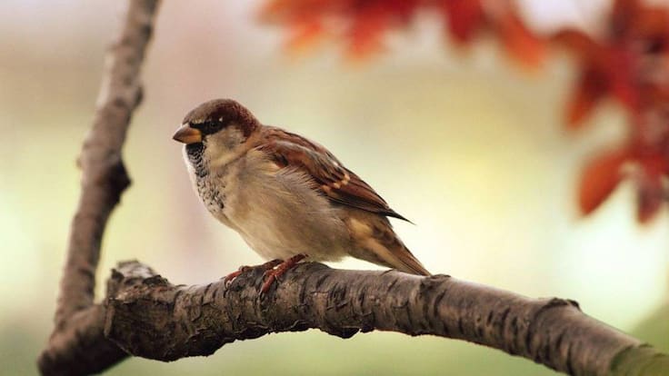 Eduardo Ramírez, vicepresidente de ANAPRI, nos habla de una nueva edición del Biomaratón de Naturaleza