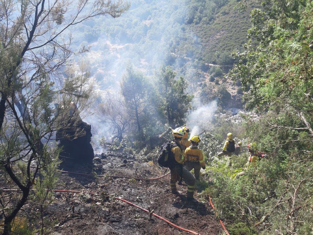 Estabilizado el incendio forestal de Candeleda