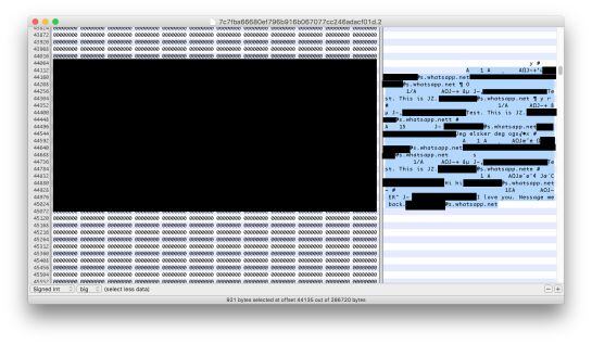 Restos de las conversaciones de WhatsApp borradas, archivadas o vaciadas, en la base de datos de la aplicación.