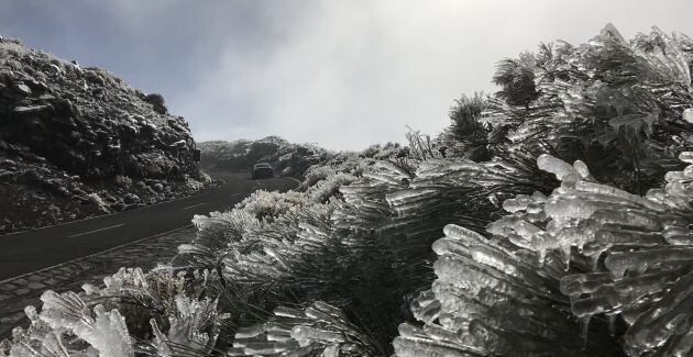 Escarcha en el Teide