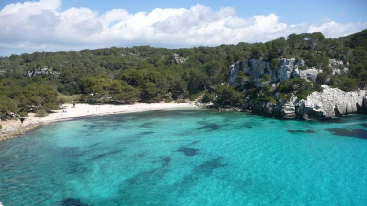 Tope de 480 personas para Macarella