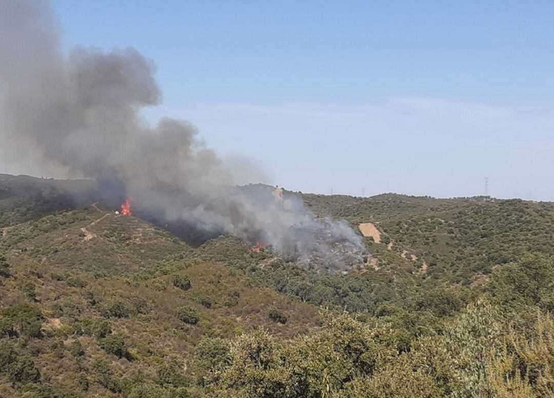 Imagen del incendio forestal en Aznalcóllar