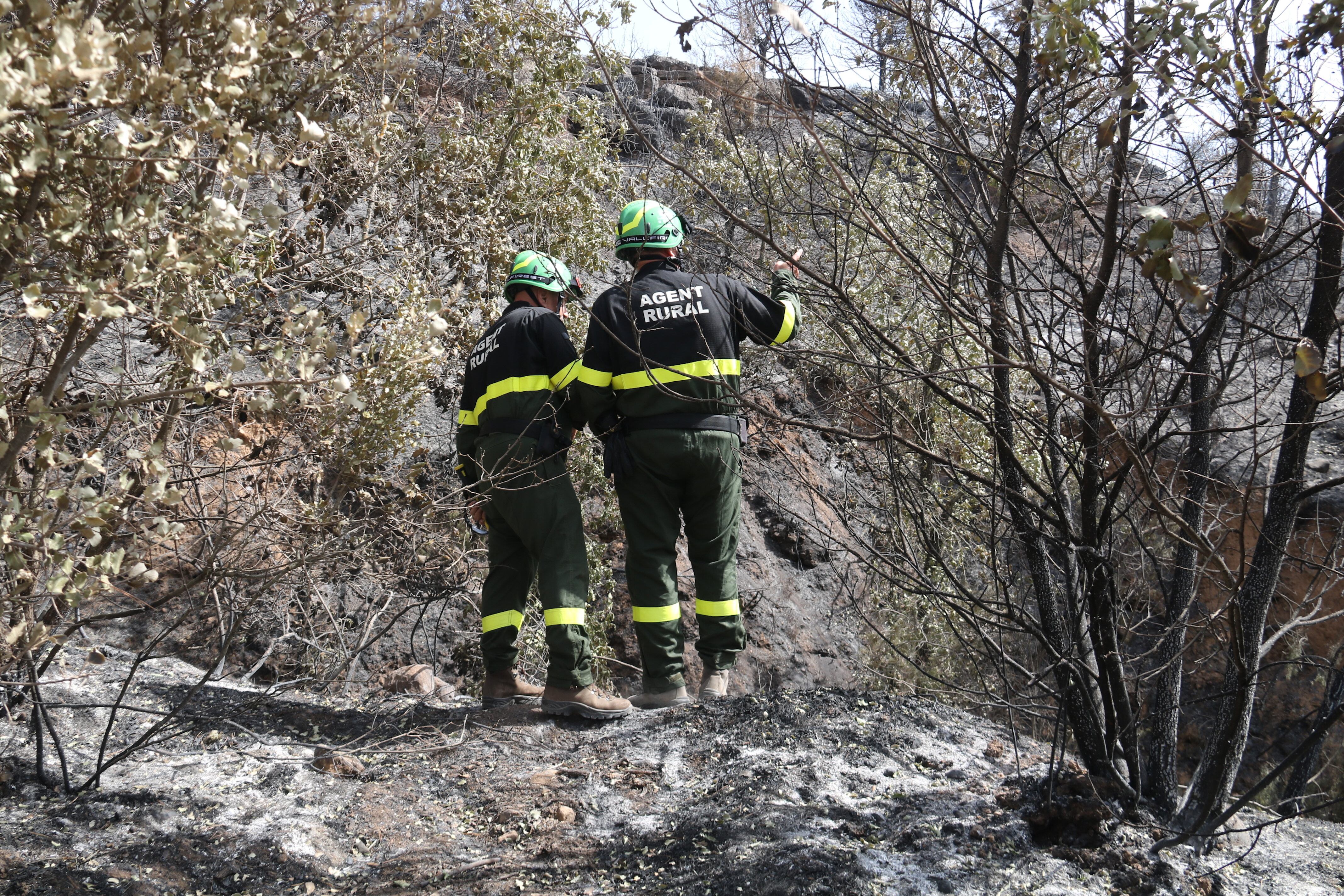 Los bomberos dan por estabilizado el incendio de Artesa, en Lleida.