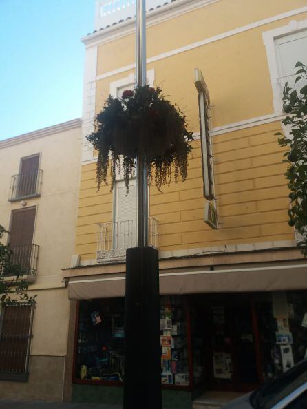 Adornos florales instalados en la farolas de la calle General Fresneda