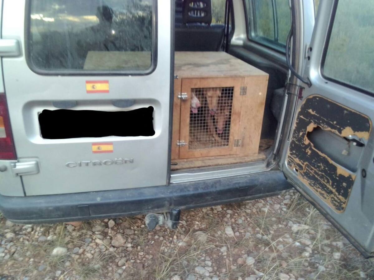 Un hombre intenta entrar en el paisaje protegido del río Mijares para cazar armado y con tres perros