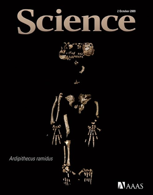 En una edición especial de Science, un equipo internacional de científicos describe minuciosamente a Ardipithecus ramidus, una especie homínida que vivió hace 4.4 millones de años