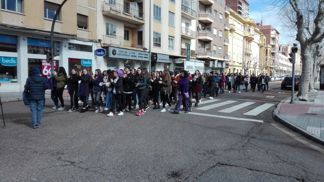 La manifestación discurre por las Avenida de Requejo