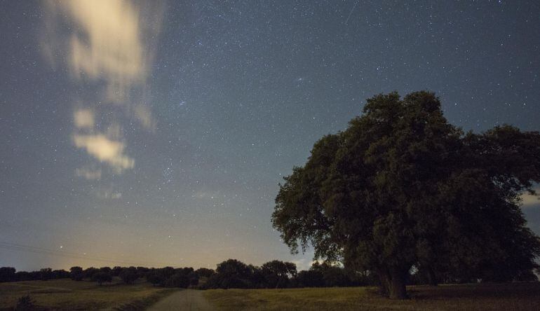 Las Perseidas vuelven a ser visibles un verano más