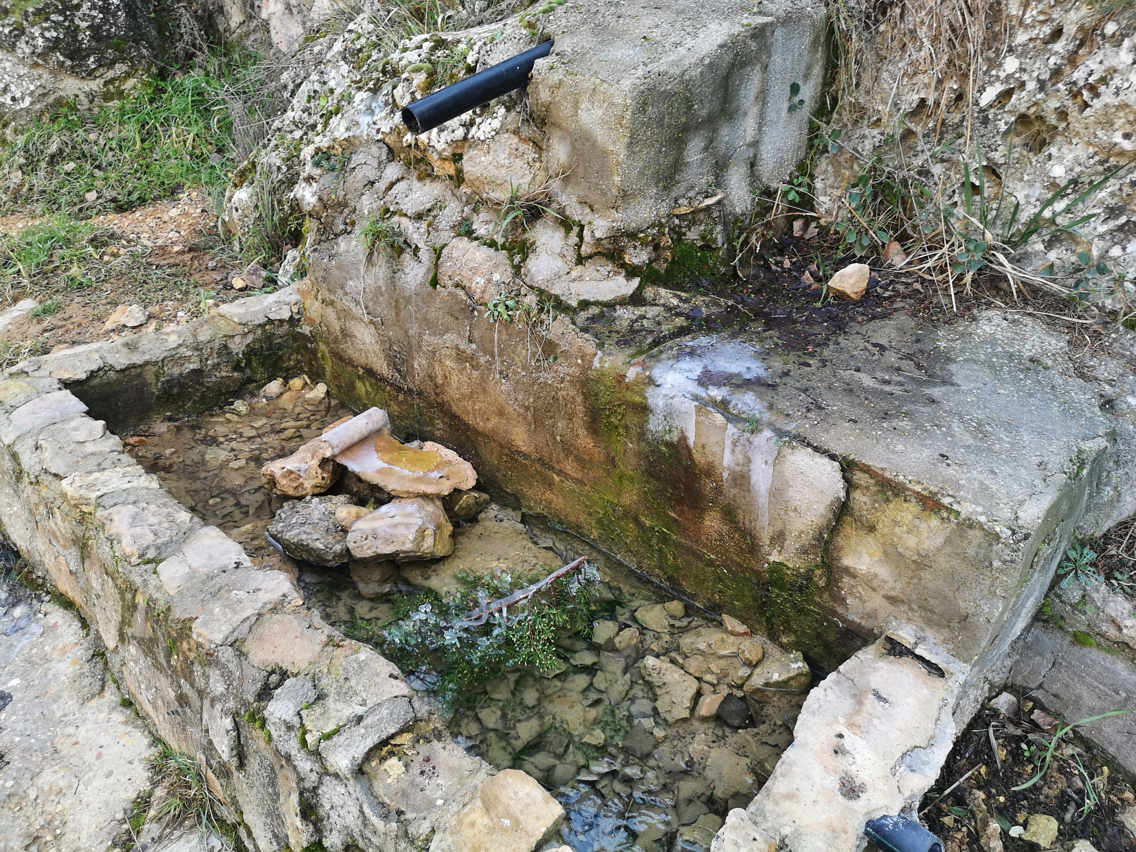 Pilón de la fuente de las Sabinas.