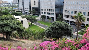 "Podrían haber 12.000 ingresos extra": Los pacientes de alta acentúan el atasco de las listas de espera en Canarias