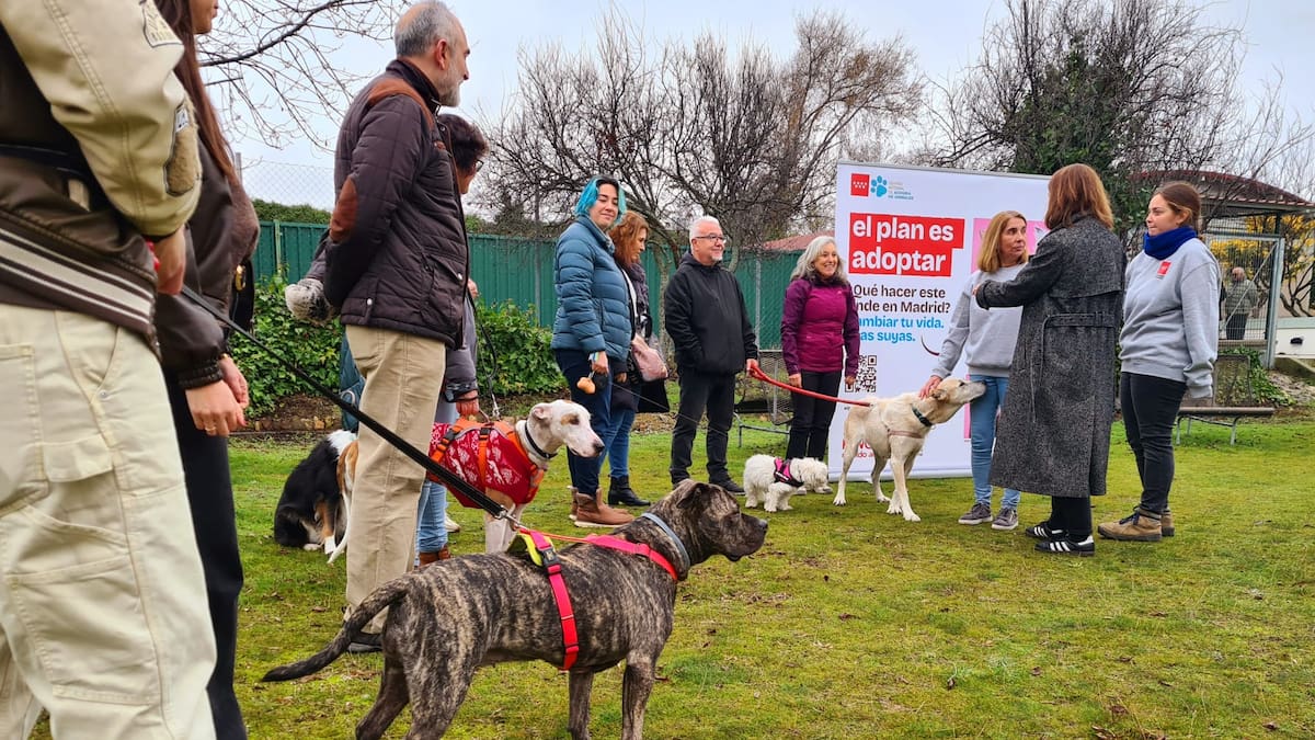 Las personas que han adoptado a sus mascotas en el Centro Integral de Acogida de Animales de la Comunidad de Madrid, ubicado en Colmenar Viejo, valoran positivamente su decisión de adoptar