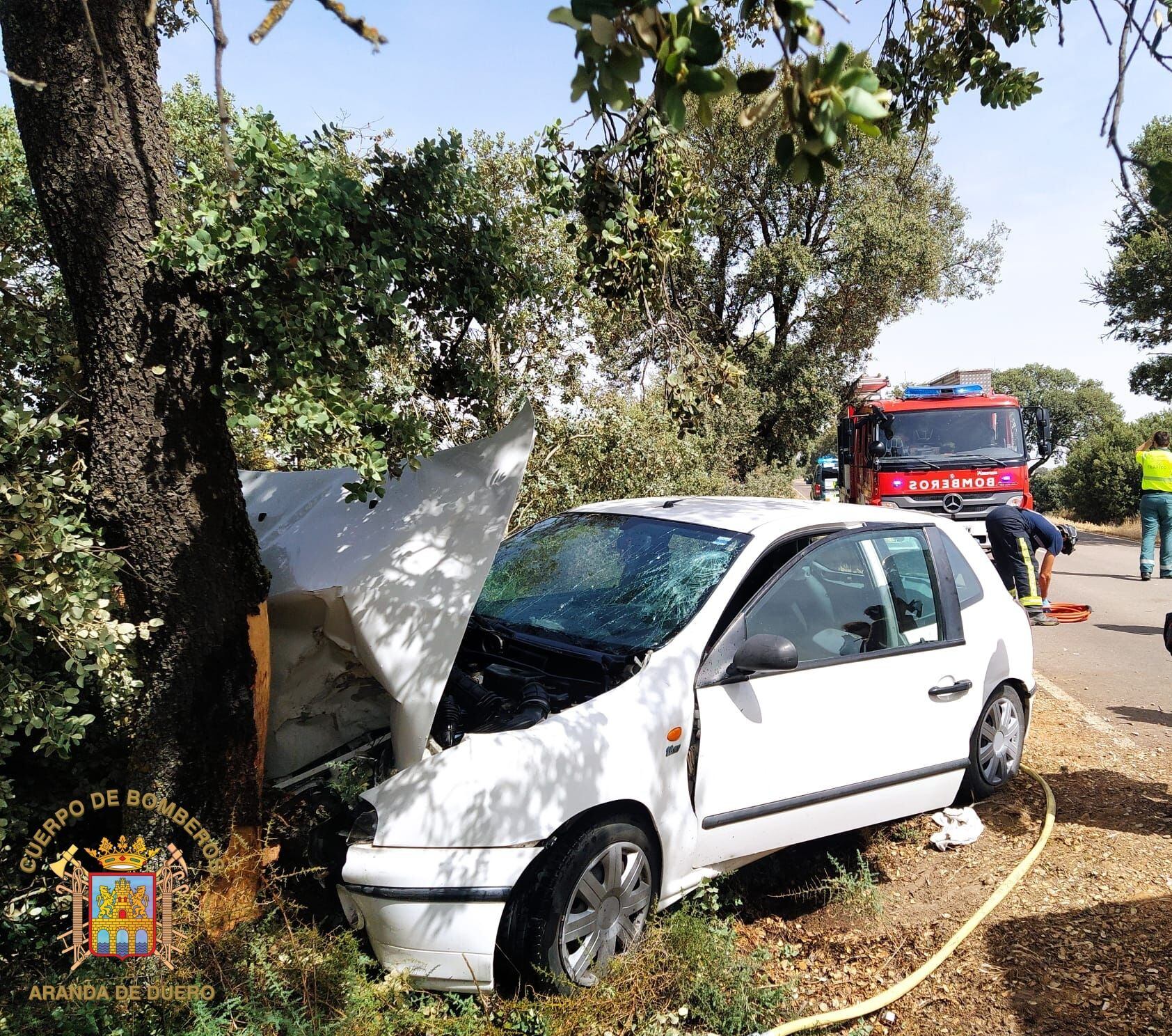 El turismo se empotró contra un árbol