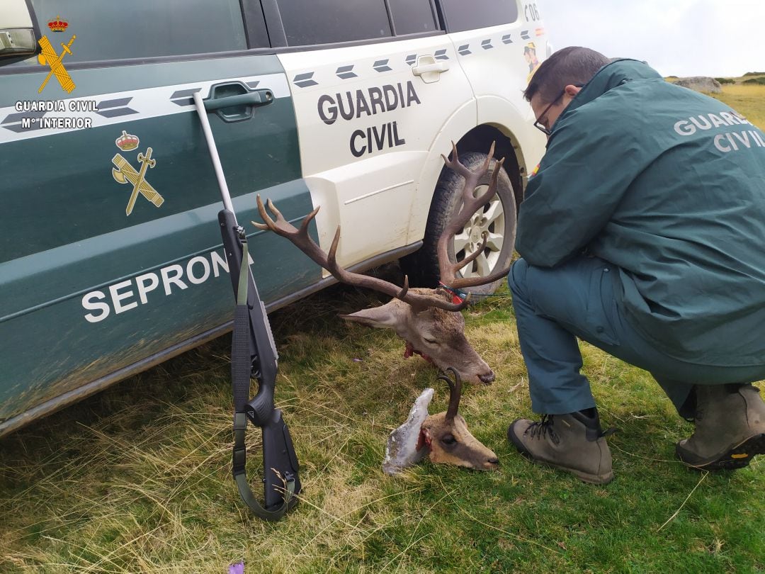 Imagen de la pieza abatida