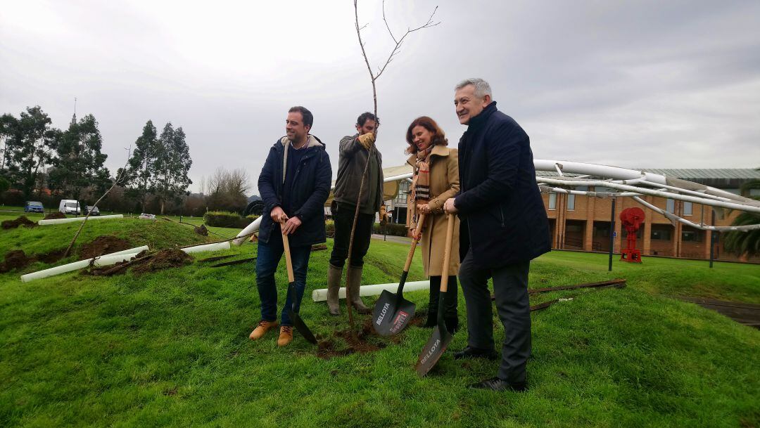 Proyecto reforestación Campus de Gijón: Universidad de Oviedo y Fundación EDP