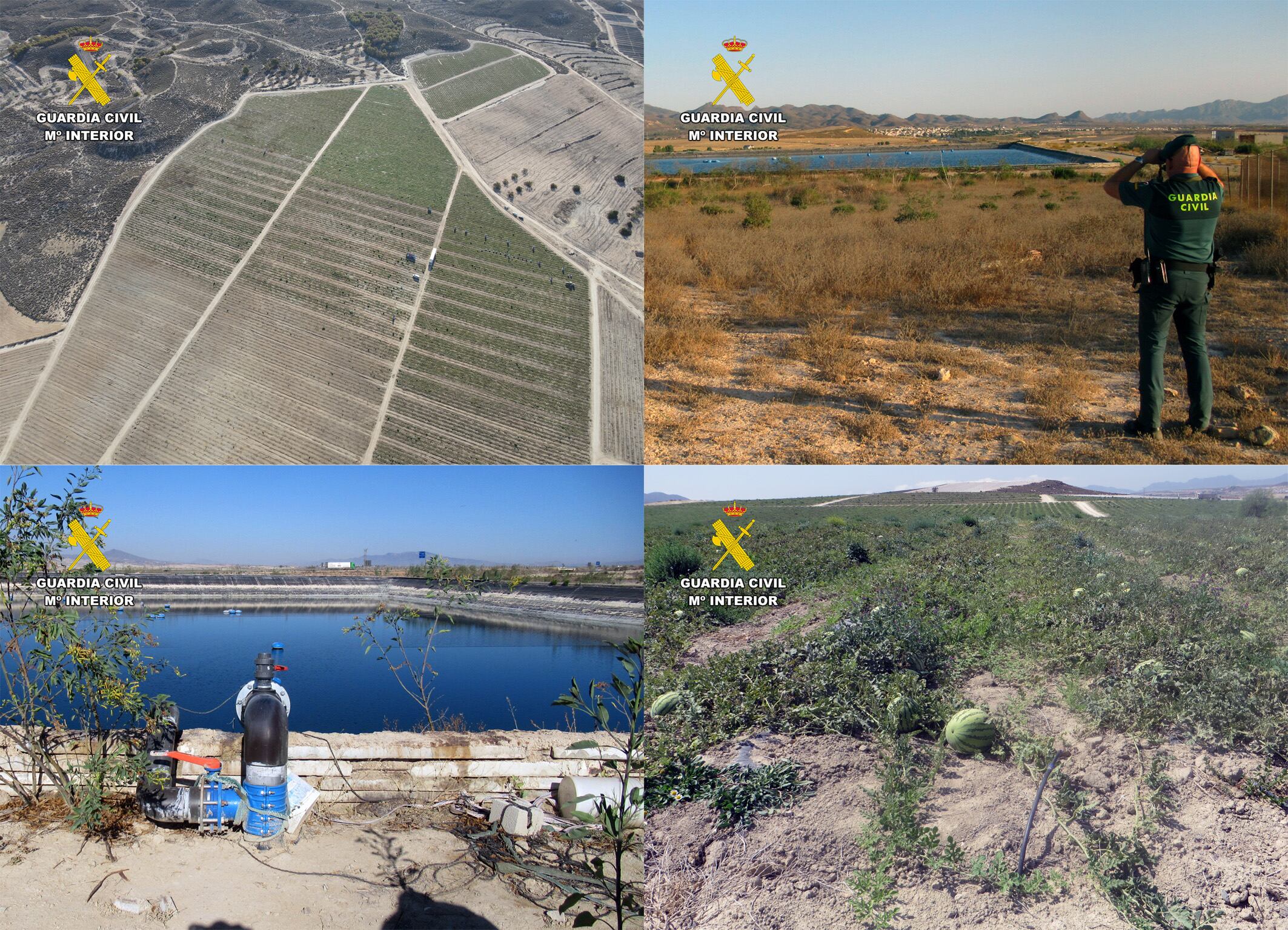 La Guardia Civil investiga a dos agricultores por transformar ilegalmente más de 50 hectáreas de cultivo de secano en regadío