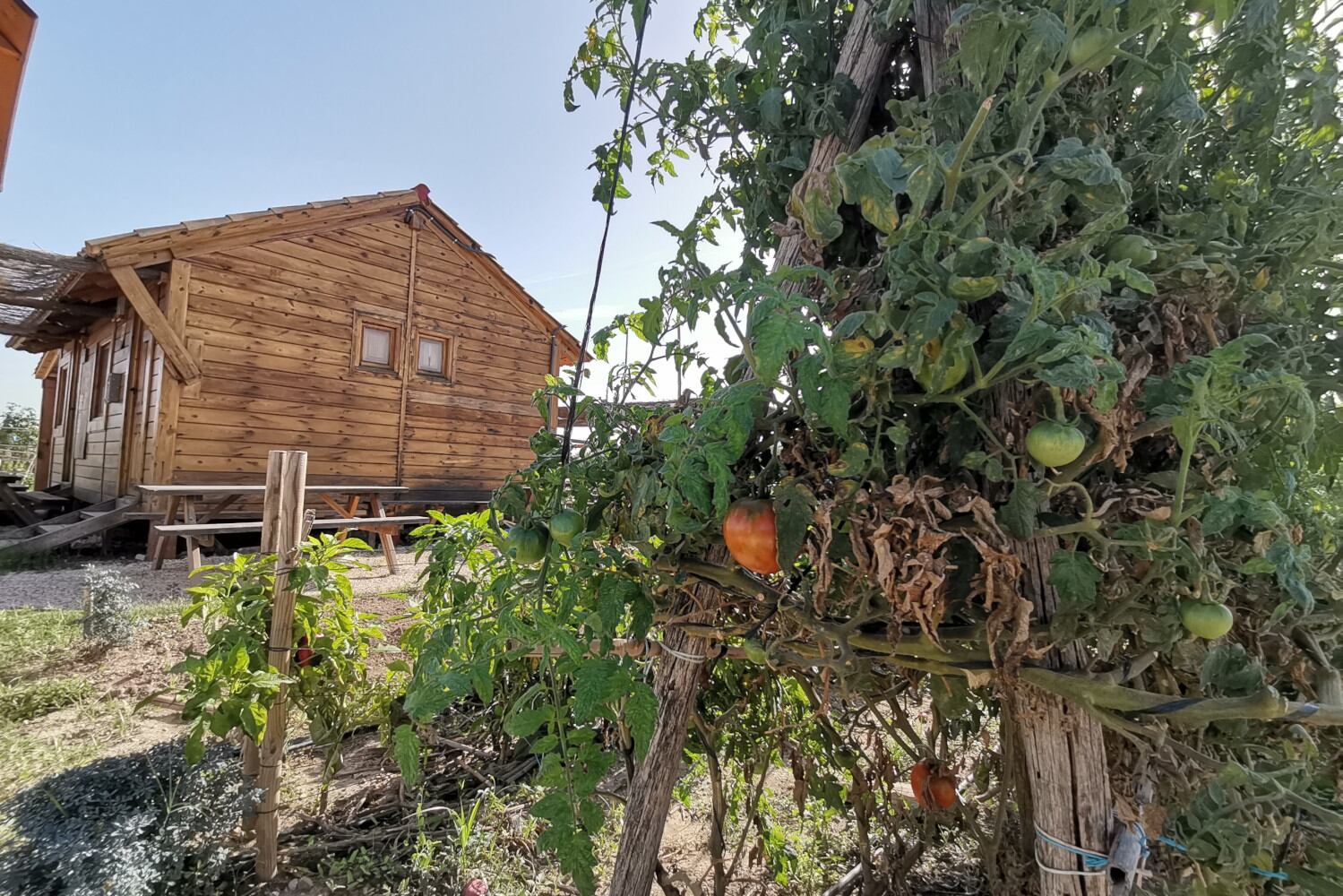 El Ayuntamiento de Novelda recibe una subvención para la mejora de los huertos ecológicos