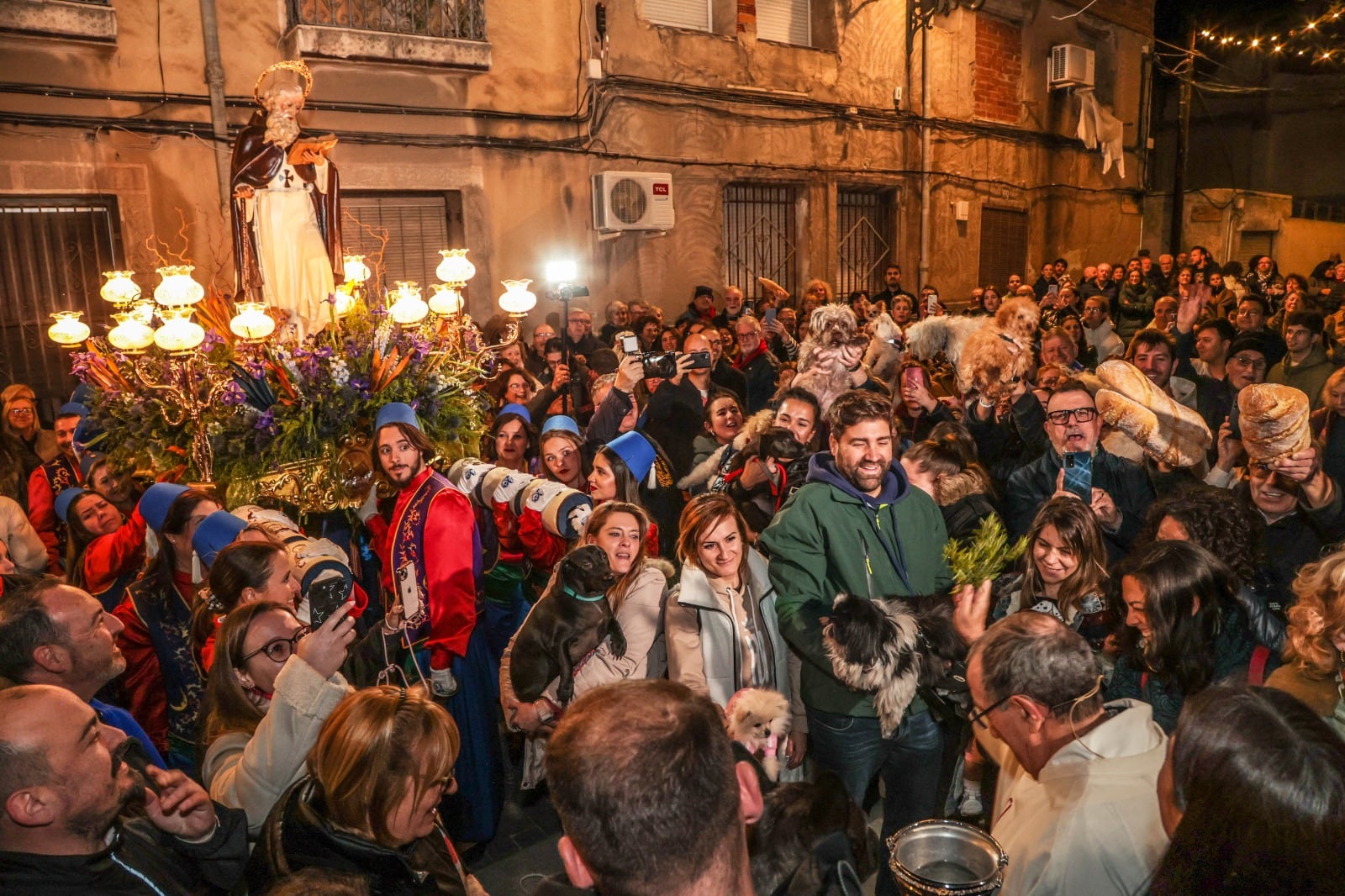 Bendición de los animales en el Día de San Antón