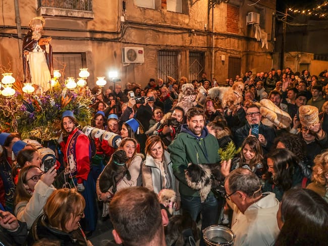 Bendición de los animales en el Día de San Antón