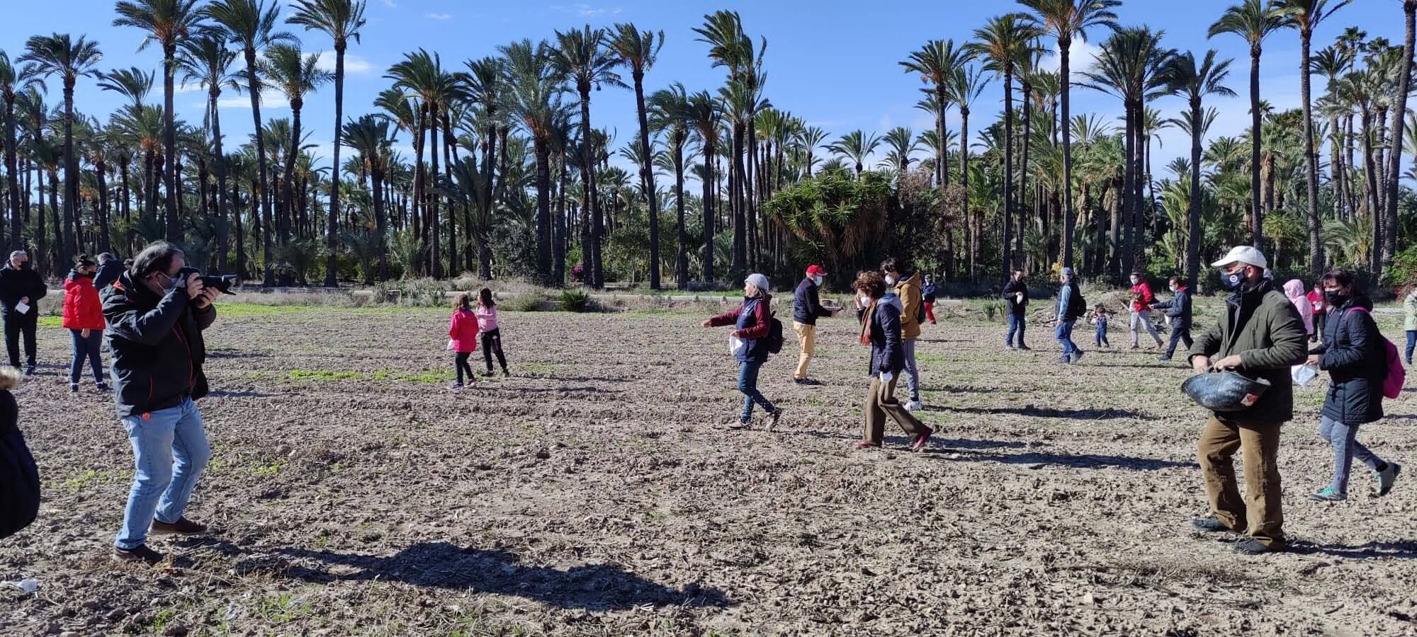 Actividades en el Palmeral de Elche